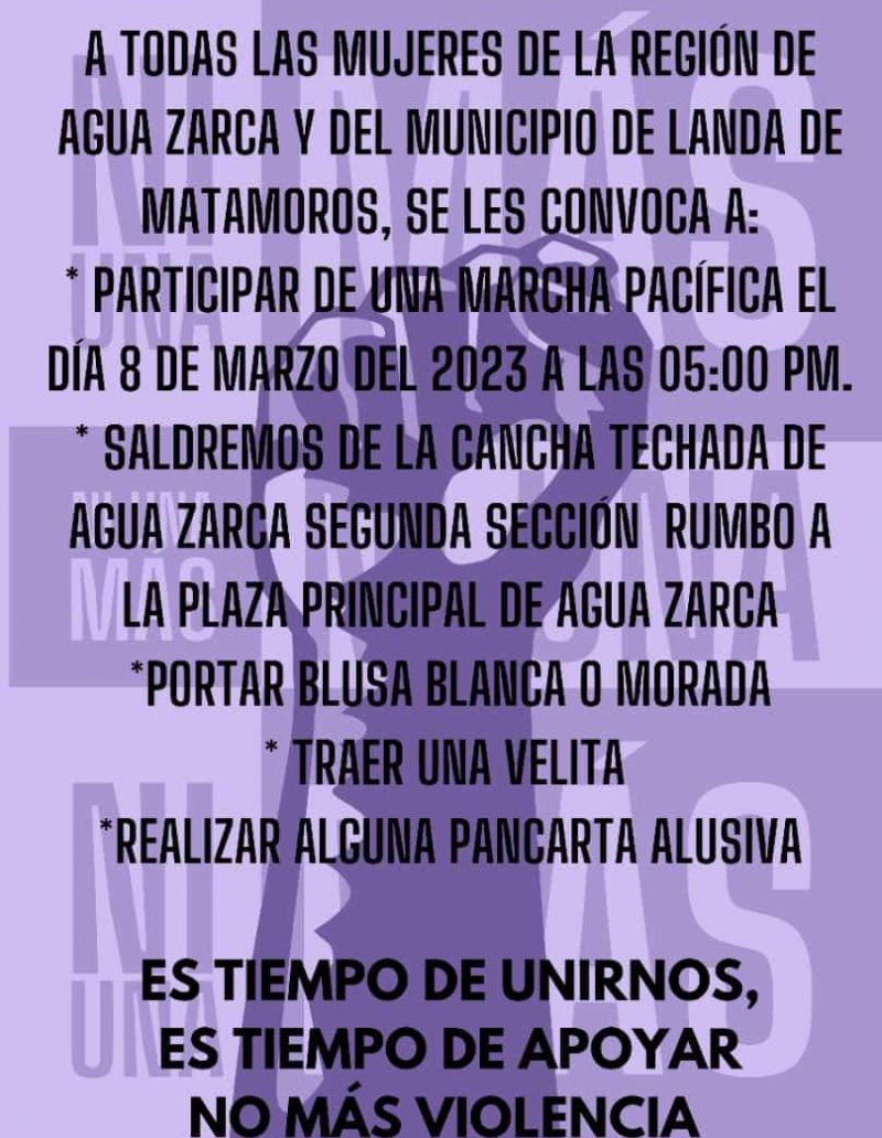 Se concentrarán mujeres en el estado por #8M.