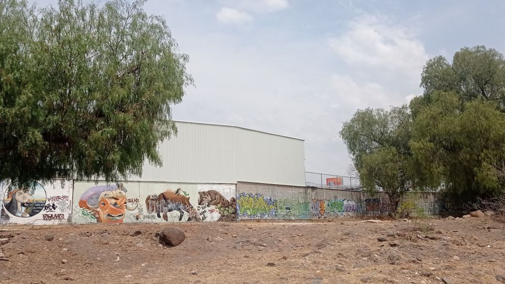 Graffiti afecta zona del Barrio de la Cruz en San Juan del Río.