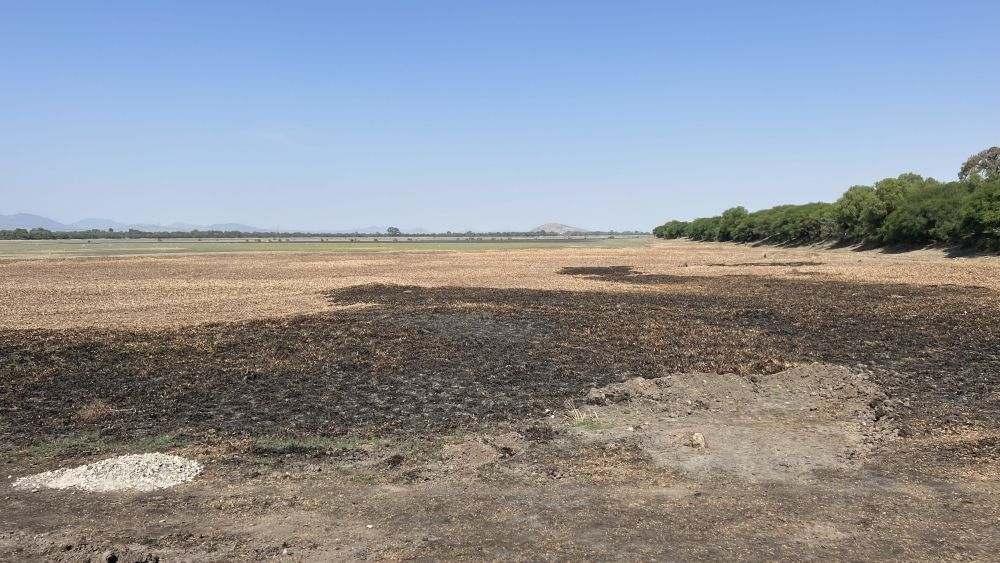 Para 'morirse de sed' presa de La Llave en San Juan del Río: Productores.