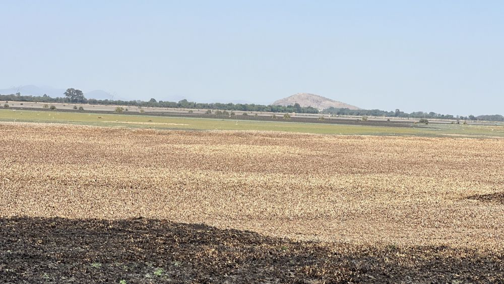 Para 'morirse de sed' presa de La Llave en San Juan del Río: Productores.