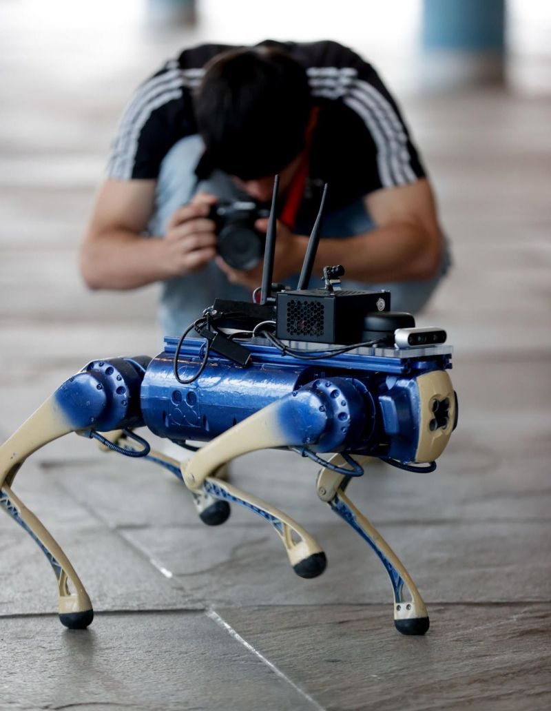 Un perro-robot con inteligencia artificial: un apoyo seguro para invidentes. EFE/Cabalar.