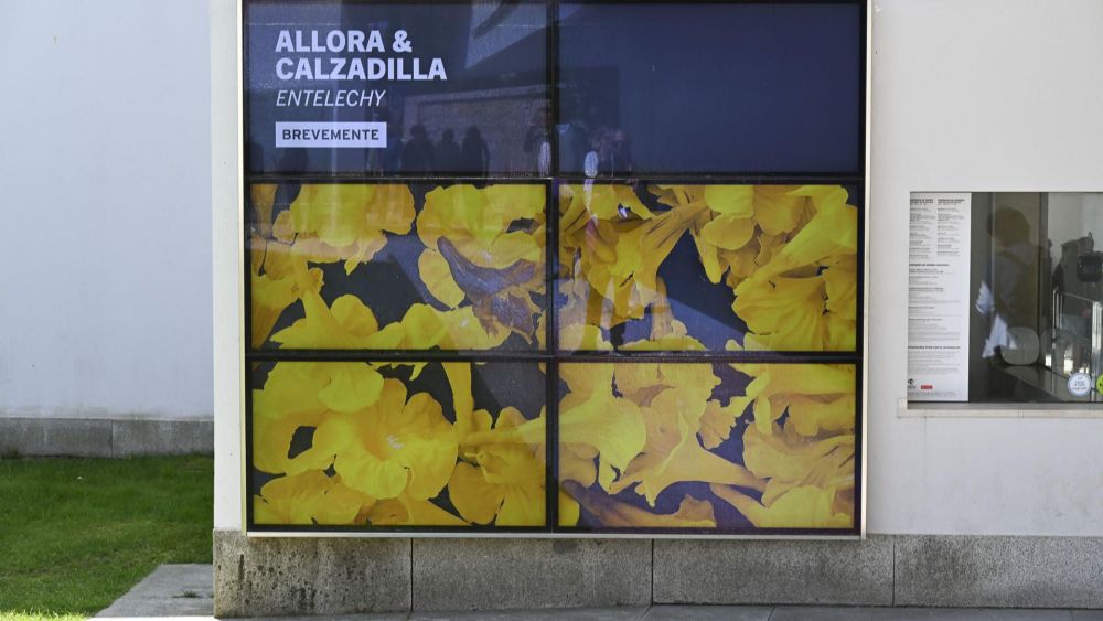 El arte visual colaborativo de Allora y Calzadilla desemboca en el Museo Serralves.