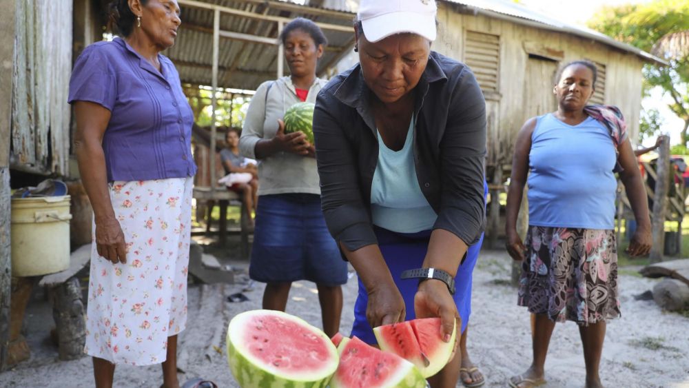 La Mosquitia: región hondureña que mitiga pobreza con agricultura sostenible y ancestral. EFE/ Gustavo Amador.