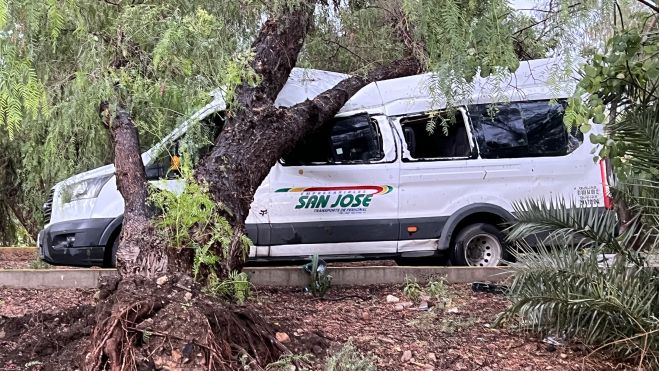 Fuertes ráfagas de viento, lluvia y granizo, derribaron árboles en La Llave, perteneciente al municipio de San Juan del Río.