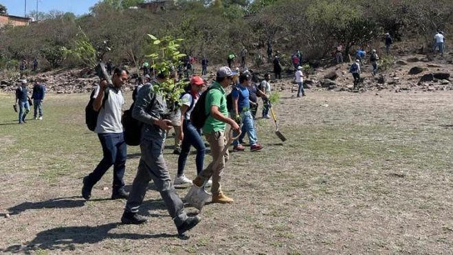 San Juan del Río se prepara para plantación de 2 mil árboles este sábado.