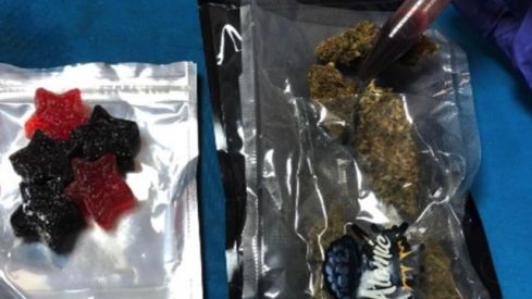 Hallan paquetes de ‘gomitas’ con marihuana en empresa de Guadalajara.