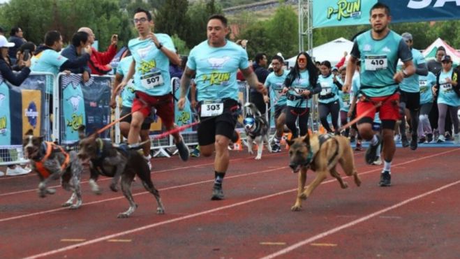 Realizan carrera con 300 caninos en Querétaro.