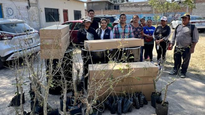 Comunidades educativas y gobierno se unen en jornada de reforestación en Pedro Escobedo.