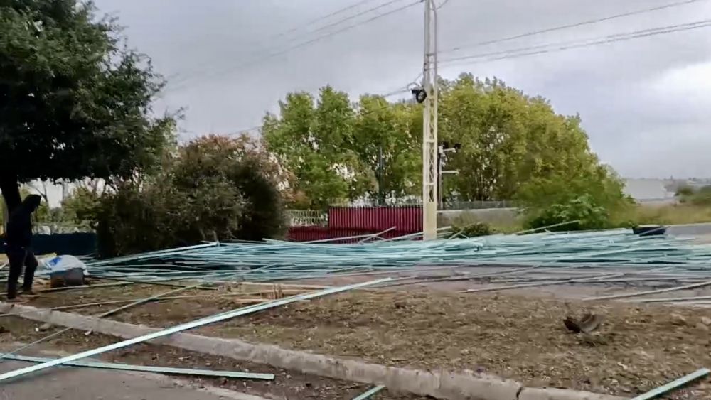 Tren se lleva a tráiler que intentó ganarle el paso en San Juan del Río.