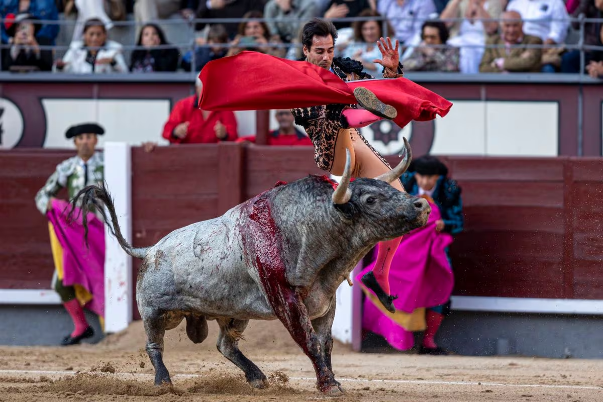 Suspenden Nuevamente Las Corridas De Toros En La Plaza México