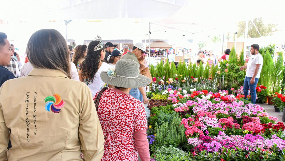 Amealco se viste de color en el 3er Festival de las Flores.
