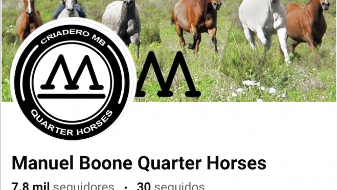 Manuel Boone Quarte Horses defrauda con venta de potranca.