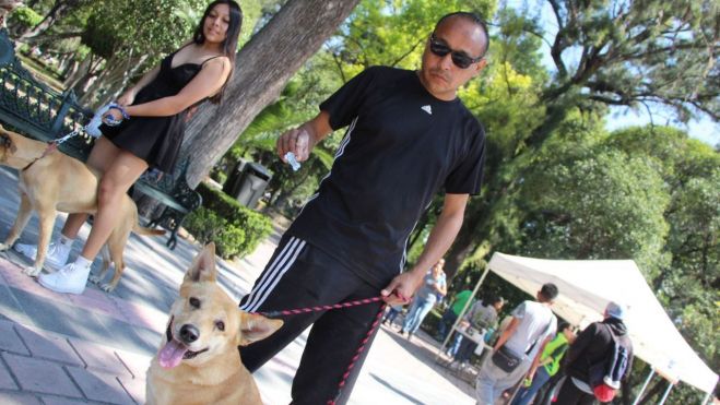 Advierten sanciones por Omisiones de Cuidados a mascotas en temporada de calor.