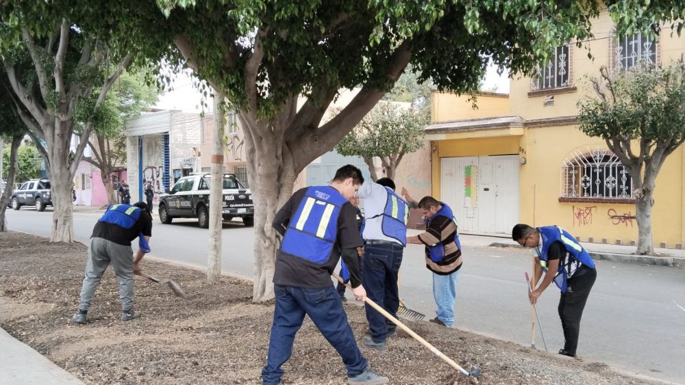 Detienen en Querétaro a 5 mujeres por conducir bajo influjos de alcohol.