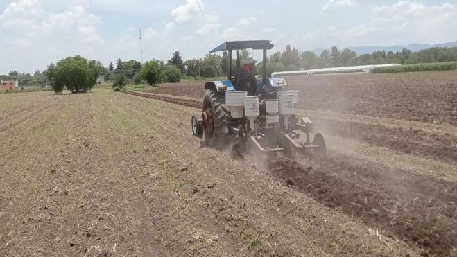 Productores del Ejido La Valla reanudan siembra tras lluvias.