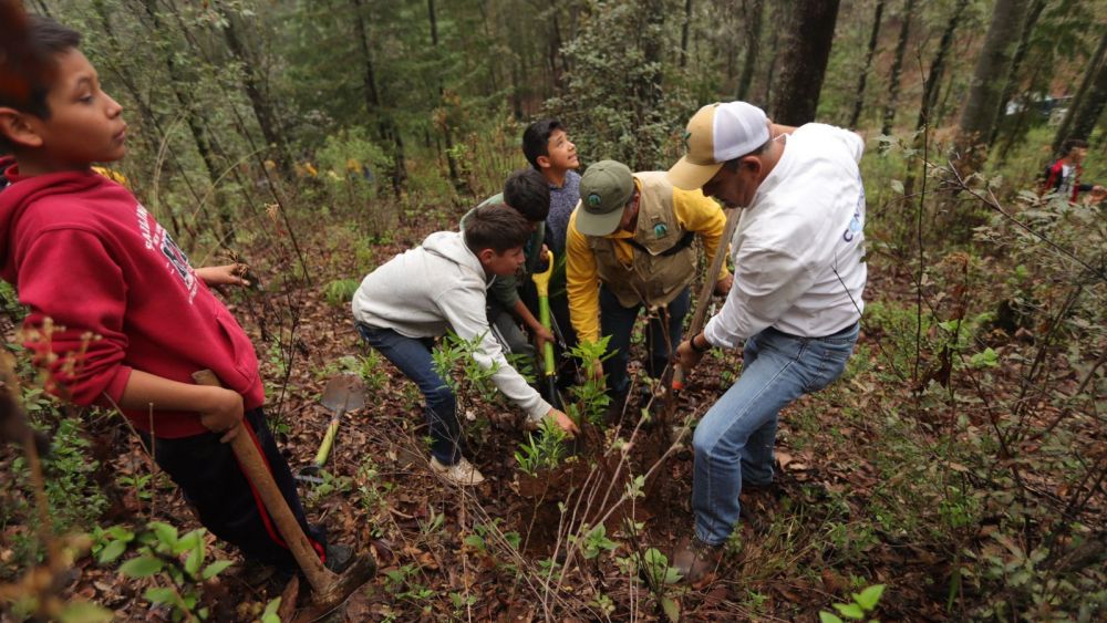 Siembran 23 mil árboles en Amealco por el Día Nacional del Árbol.