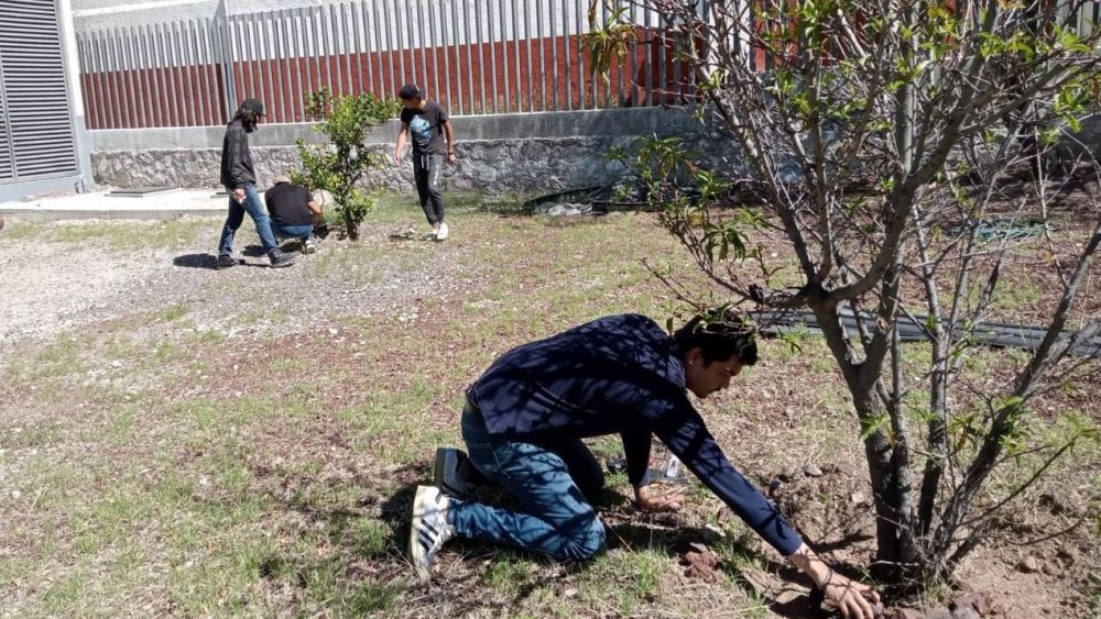 Operativo "TeQro Vivo" y Sanciones en Querétaro: Resultados del 10 al 14 de Julio.