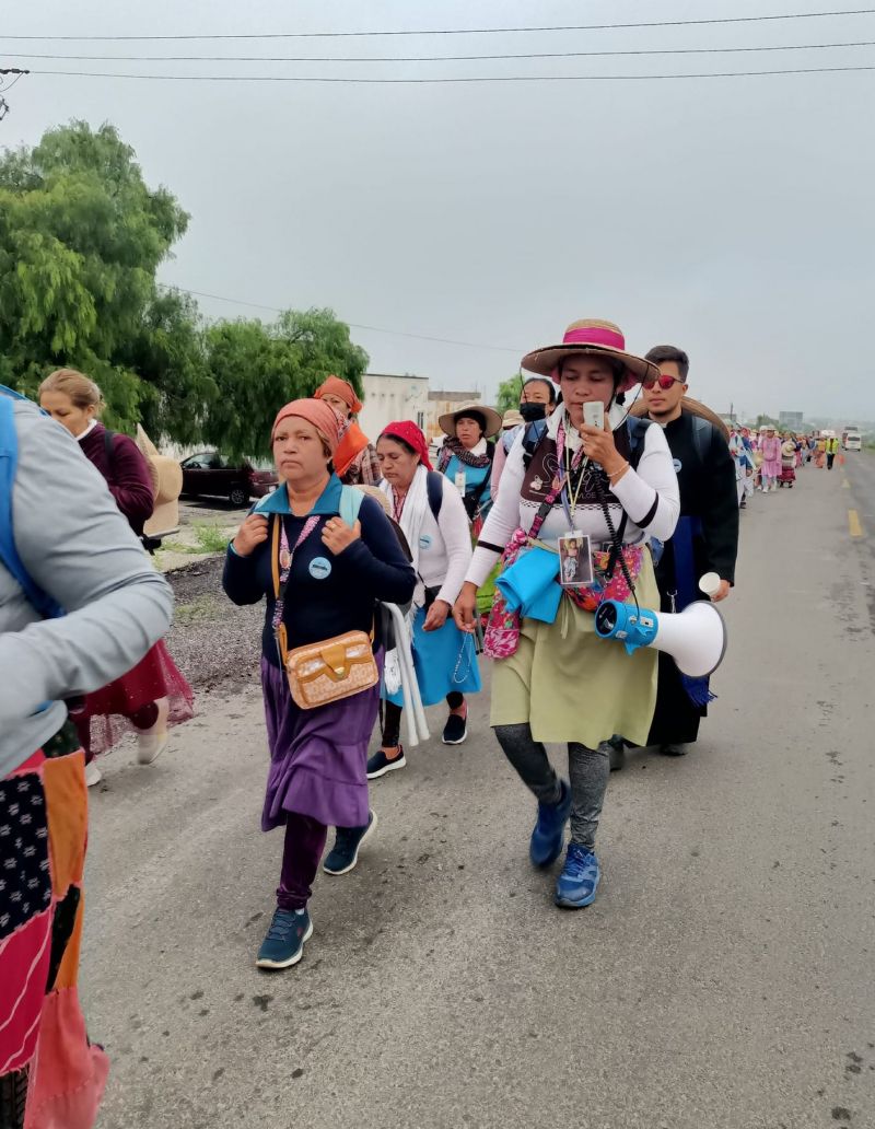 Miles de peregrinas refrendan su fe a la Virgencita del Tepeyac.