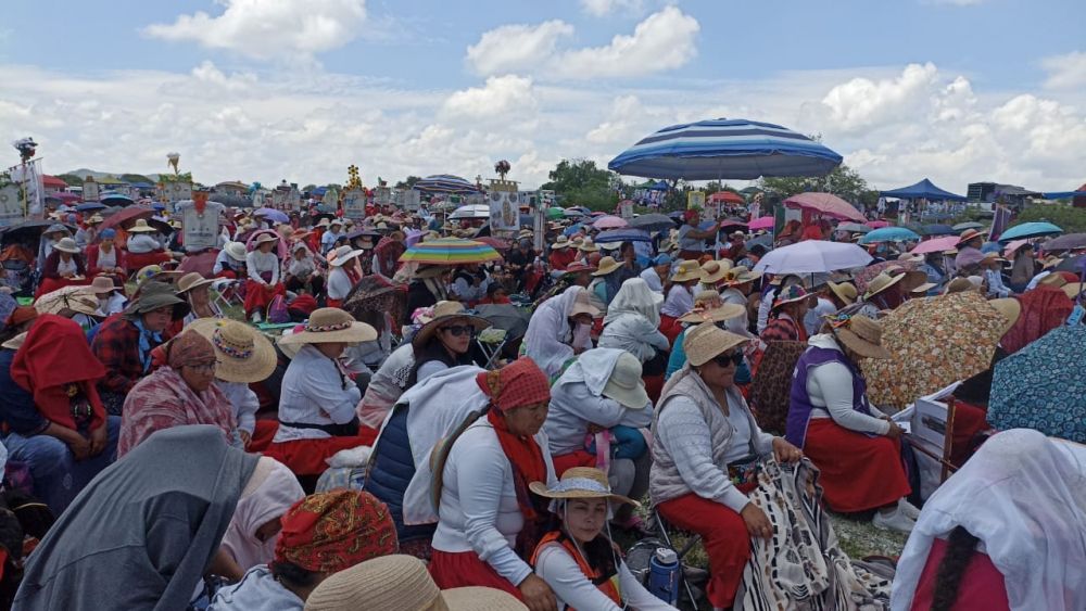 La Peregrinación a la Basílica de Guadalupe: Un Viaje de Fe, Amor y Comunidad. FOTO: DIOCESIS DE QUERETARO