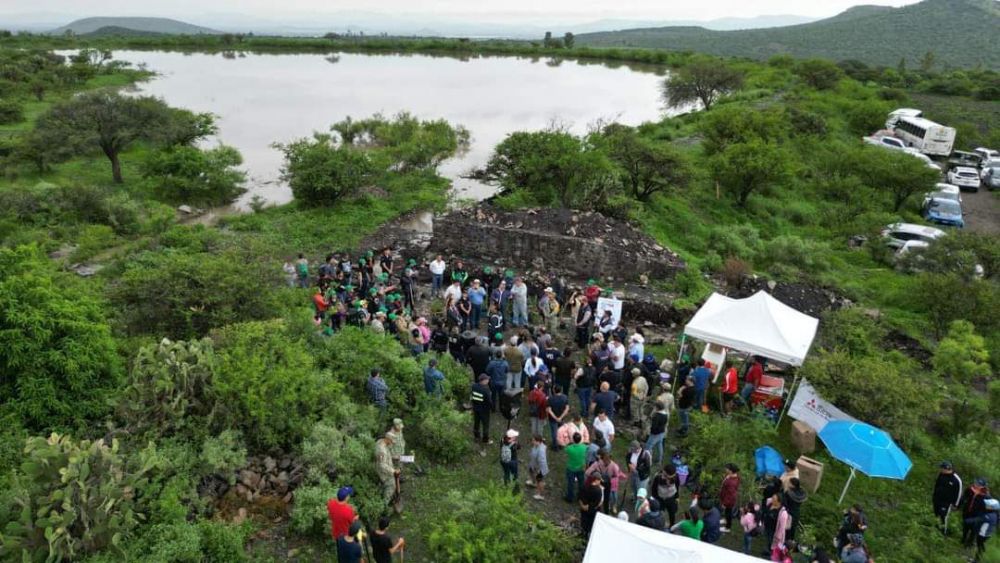 Reforestación en Ojo de Agua: Un éxito ambiental de San Juan del Río.