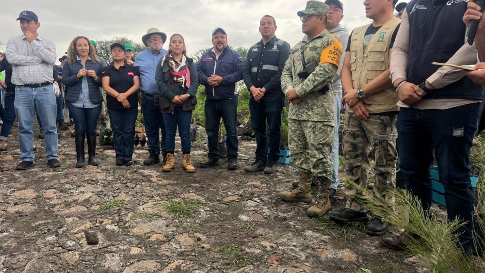 Reforestación en Ojo de Agua: Un éxito ambiental de San Juan del Río.