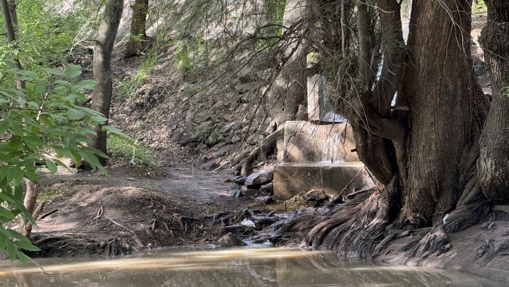 Obstrucción y contaminación amenazan la salud del río en San Juan.