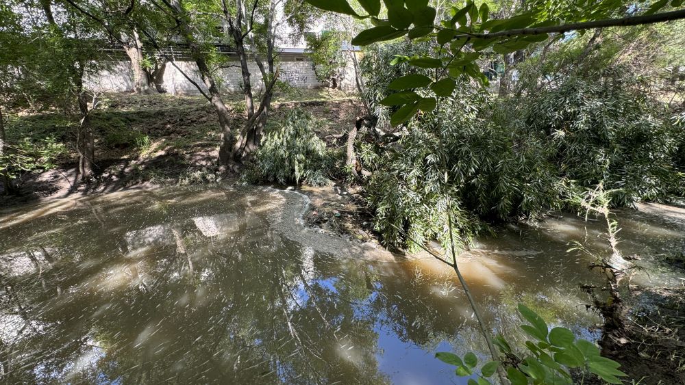 Obstrucción y contaminación amenazan la salud del río en San Juan.