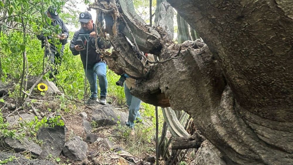 Colectivo Desaparecidos Querétaro encuentra restos humanos en de Boulevard de la Nación.