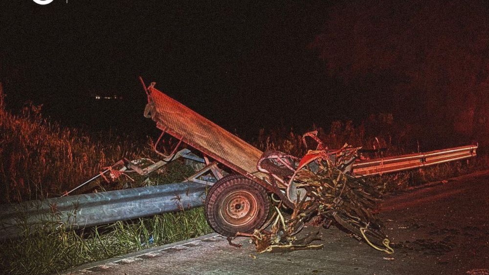 Lealtad de perros conmueve durante rescate de víctimas de accidente en El Marqués.