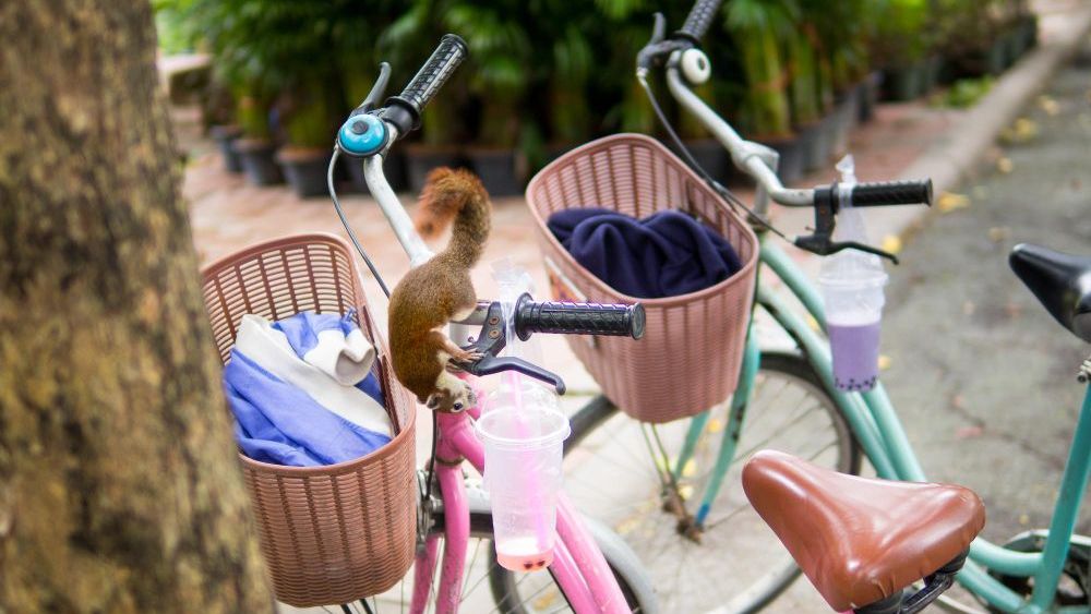 La importancia de la seguridad en bicicletas infantiles.