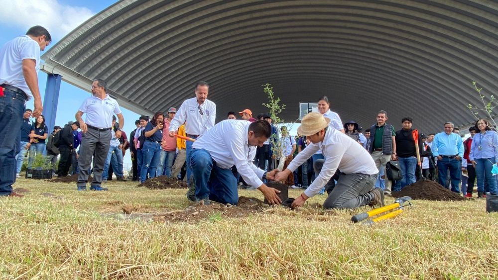 Tecnológico de San Juan del Río impulsa reforestación con alumnos de primer semestre.