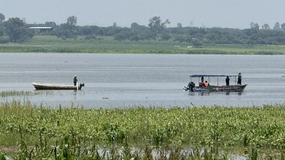 Movilizan caninos para búsqueda de menor desaparecido en Presa Constitución.