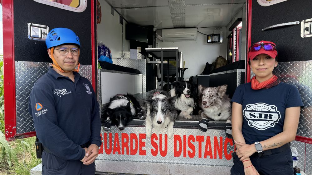 Movilizan caninos para búsqueda de menor desaparecido en Presa Constitución.