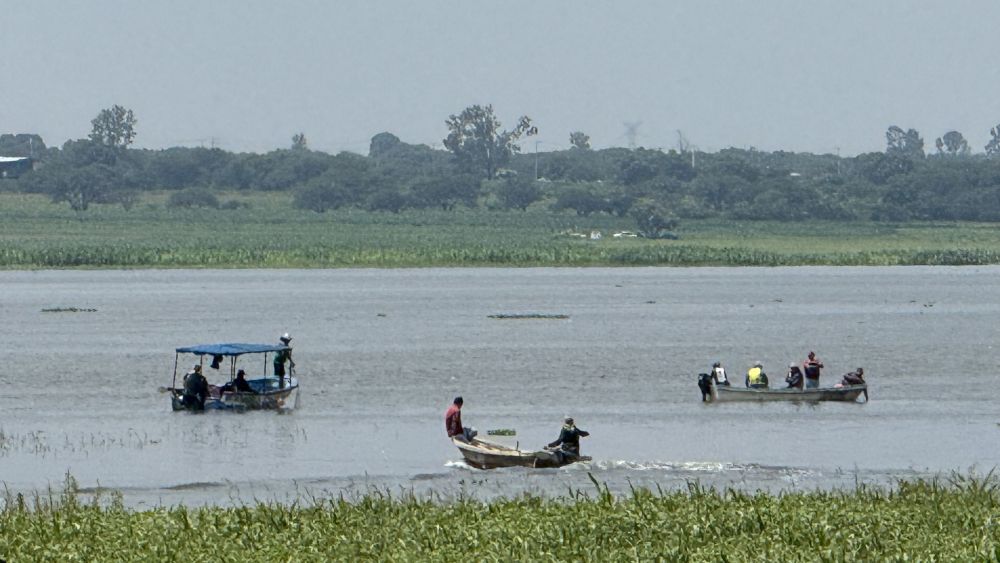 Movilizan caninos para búsqueda de menor desaparecido en Presa Constitución.