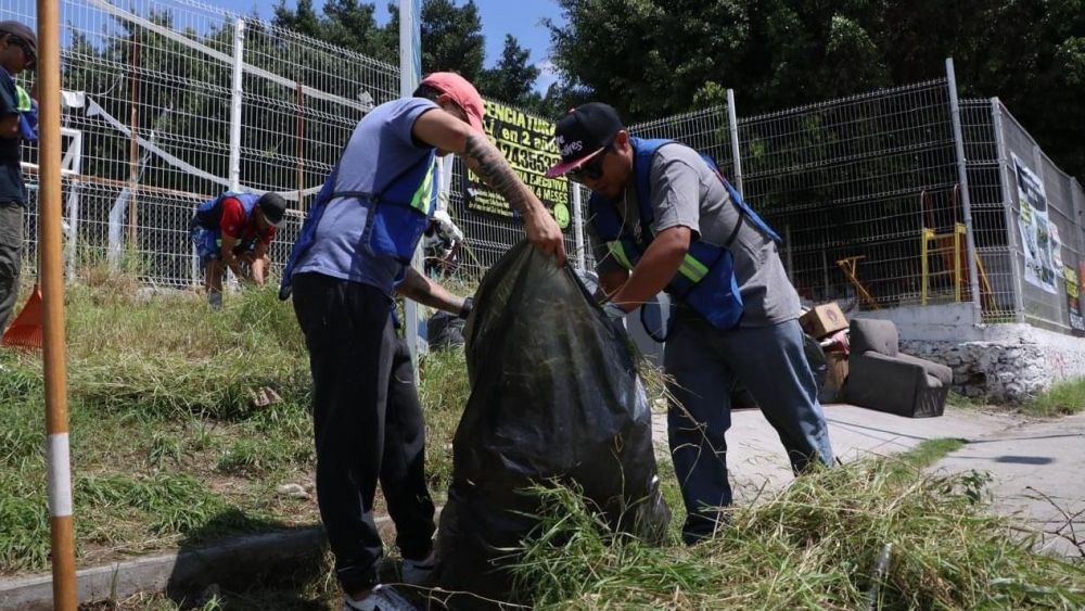 Cayeron 24 al "Torito" y "Vaquita" tras operativo de alcoholímetro en Querétaro.