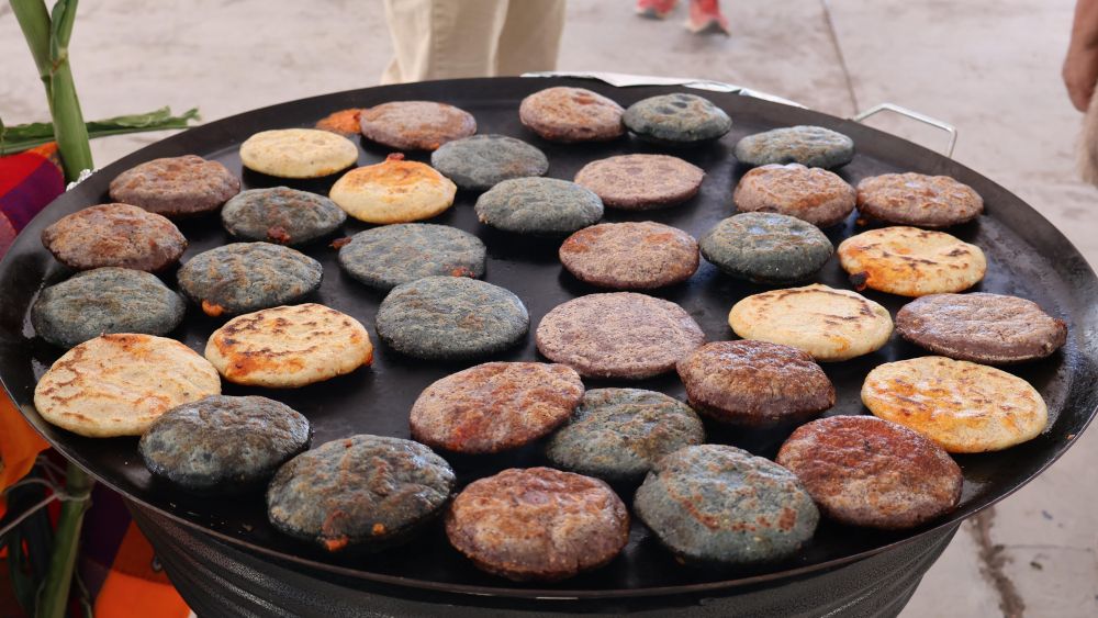 Presidente Municipal inaugura el concurso Master Chef Gordita Colón.