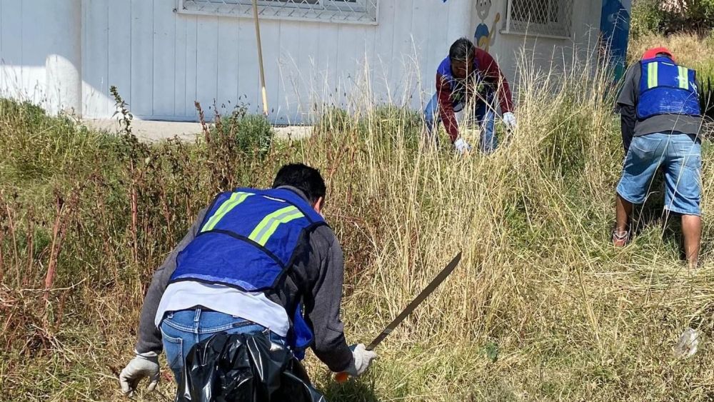 Cayeron 23 este fin de semana en operativo alcoholímetro.