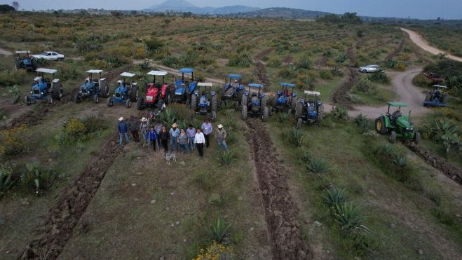 El Ejido de El Jagüey renueva el cultivo del maguey como emblema de identidad.