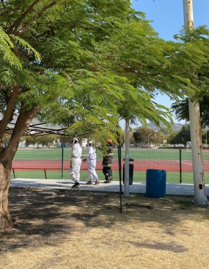 Incidente con abejas en el Parque Bicentenario deja 50 afectados en Querétaro.