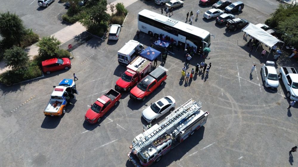 Incidente con abejas en el Parque Bicentenario deja 50 afectados en Querétaro.