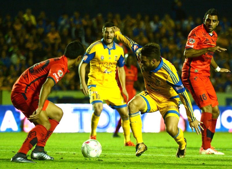 León Invicto Pasará Dura Prueba Ante Campeón Tigres 0314