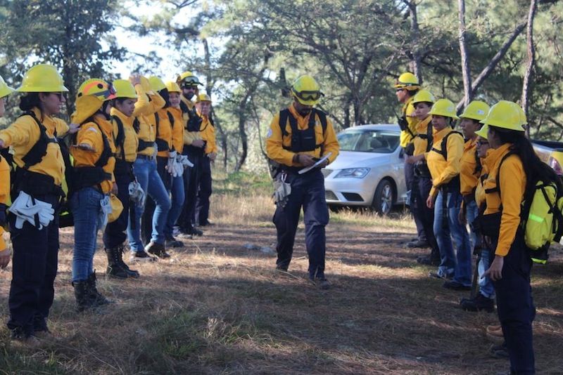 Mujeres Reciben Capacitación Para Combate A Incendios Forestales