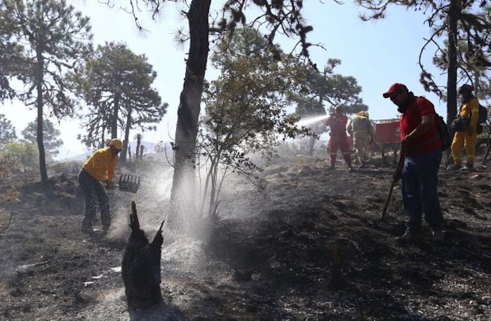 Controlan Incendio En Temascaltepec Estado De México 9824