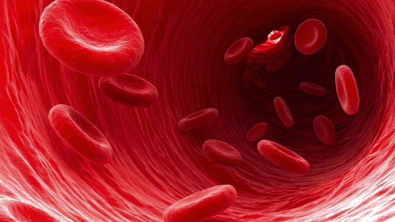Crean Científicos El Primer Mapa Genético De Proteínas En Sangre Humana
