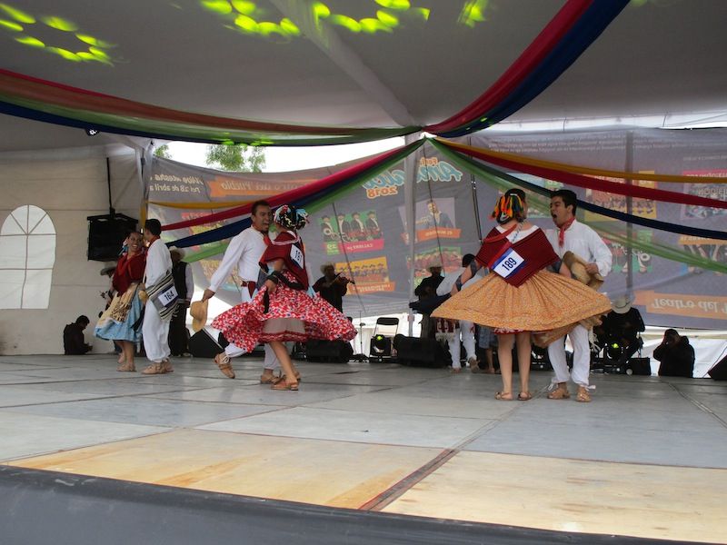 Realizan Concurso Nacional de Huapango en Amealco