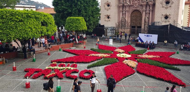 Inauguran tapete monumental de flor de nochebuena en Taxco, Guerr...