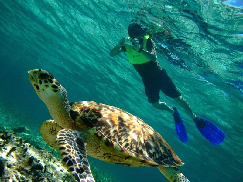Punta Sur se consolida como espacio de ecoturismo en Cozumel