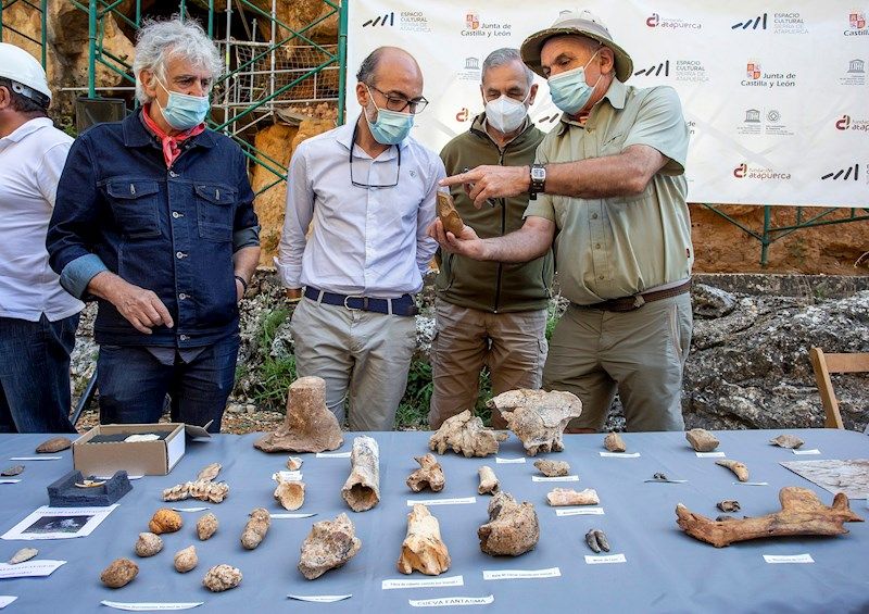 Hallan evidencia de presencia humana en Atapuerca desde 1,2 millones de años