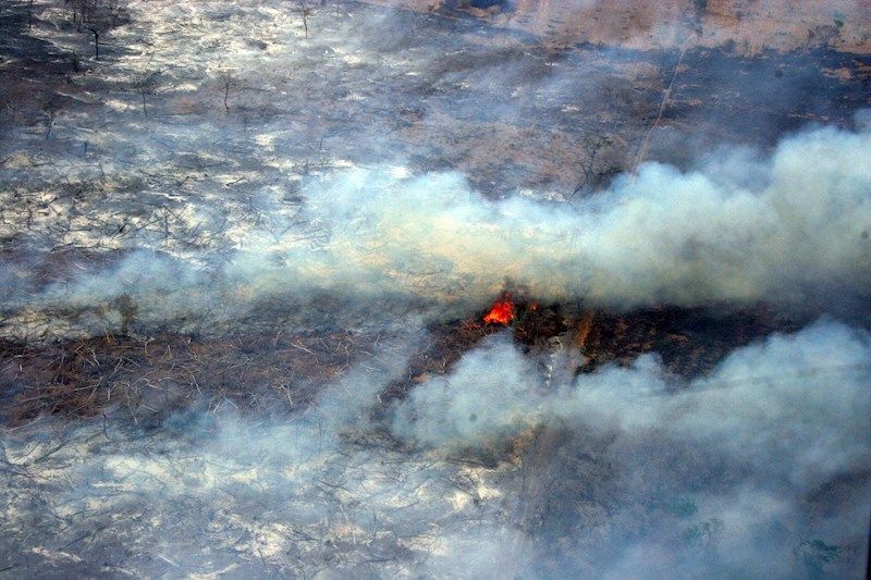 Bolivia Reporta Un 62 Menos De Hectáreas Quemadas Que En 2019 9891