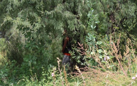 Gerardo Moreno Orozco, de 21 años, fue localizado colgado de un árbol. FOTO/ROTATIVO